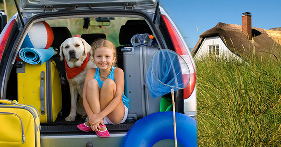 Ostsee Ferienhäuser & Ferienwohnungen mit Hund, Haustier Ostsee