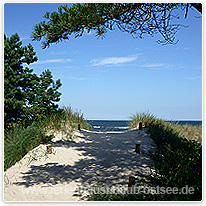 Weg zum Ostseestrand ostsee, strand, usedom