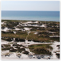 Dünenlandschaft bei Dueodde bornholm, ostsee, strand