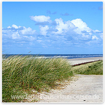 falster, ostsee, insel, daenemark, strand