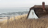 ferienhaus, darss, ahrenshoop, ostsee