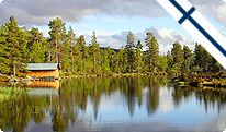 ferienhaus, finnland, ostsee