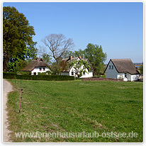 Blick auf Grieben grieben, insel, hiddensee