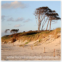 darss, insel, ostsee, strand