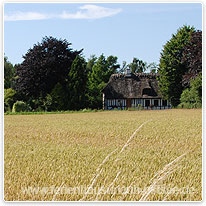 Typisch Insel Fünen kornfeld, insel fuenen, daenemark, ostsee