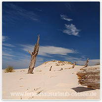 Die Wanderdünen von Leba duene, leba, polen, ostsee