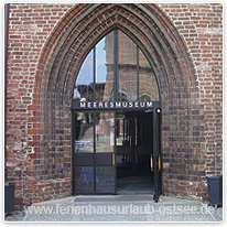 Eingang zum Meeresmuseum Stralsund meeresmuseum, museum, stralsund