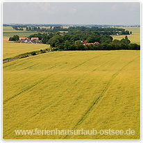 Blick vom Kap Arkona nach Putgarten rapsfeld, putgarten, ruegen