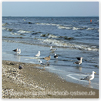 strand, ostsee, usedom