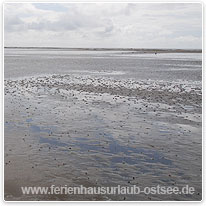 wattenmeer, nordsee